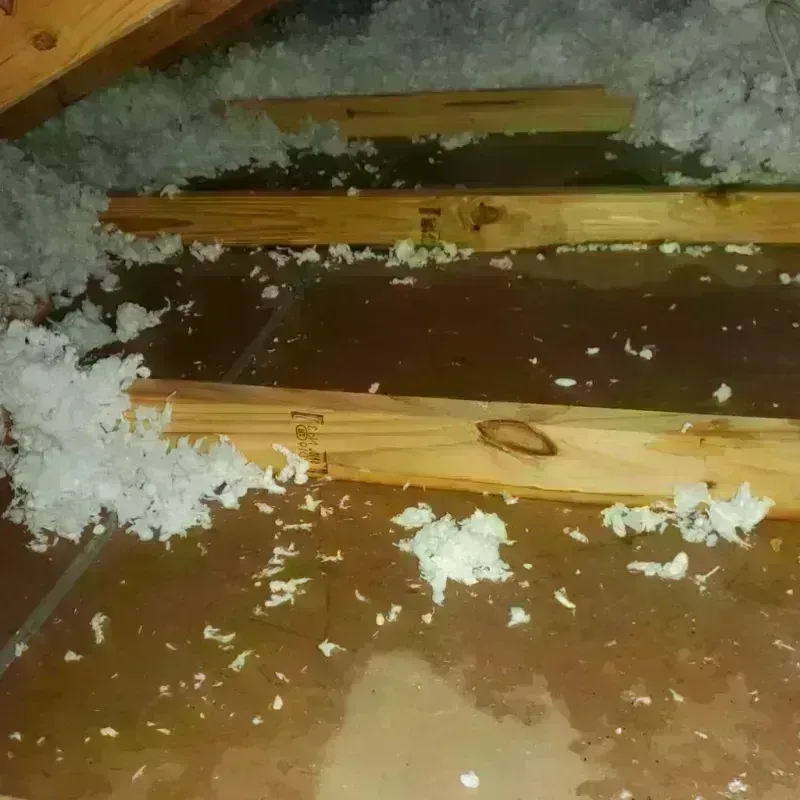 Attic Water Damage in Woodbury Center, CT